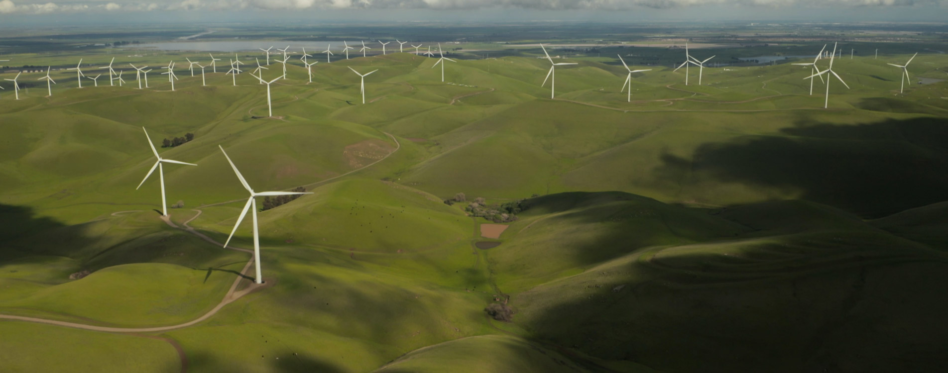 Our Commitments 1 tyler casey ficbiwfOPSo unsplash